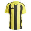 Striped 24 Men's Jersey